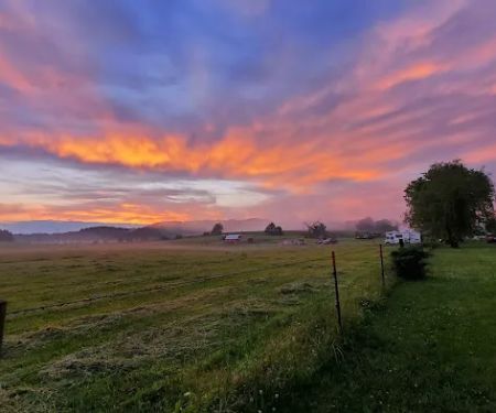 Hutchinson Family Farms