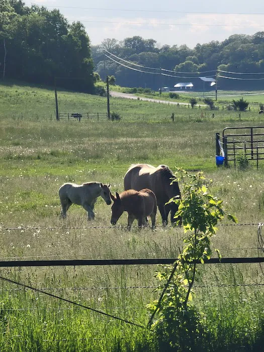 Hutchinson Family Farms Picture 8