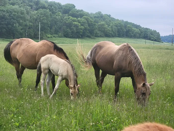 Hutchinson Family Farms Picture 6