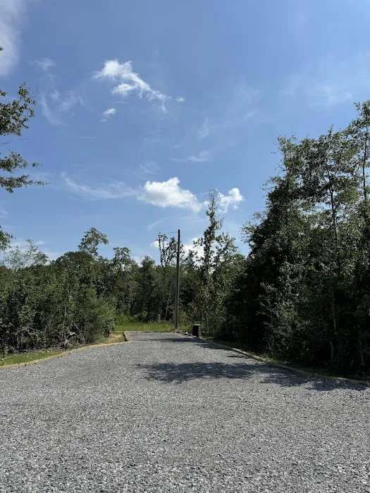 Evergreen RV Park Picture 3
