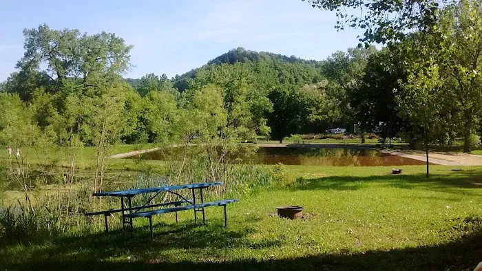 Bluebird Campground / Rec Hall bar and grill - campground now fully open Picture 9