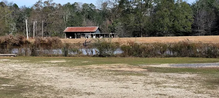 Evergreen RV Park Picture 10