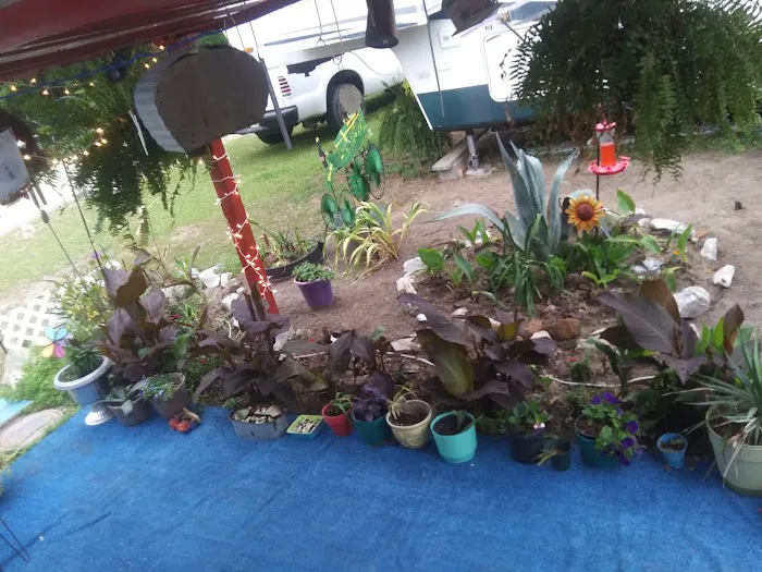 Alex's RV Park Picture 3