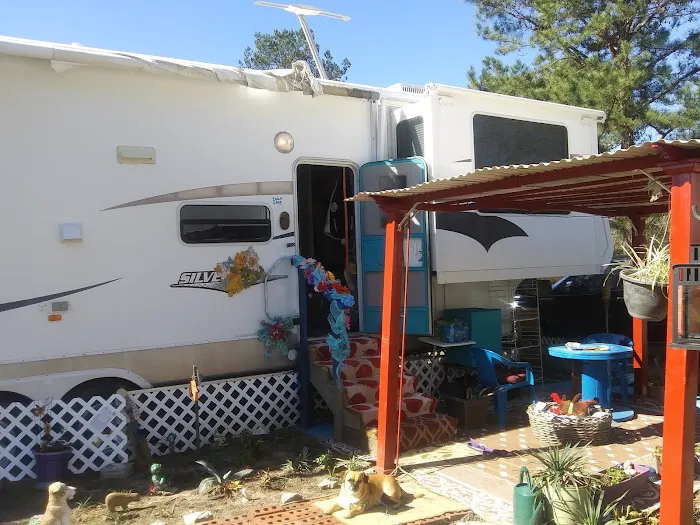 Alex's RV Park Picture 7