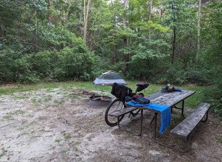 Sparta DNR Campground