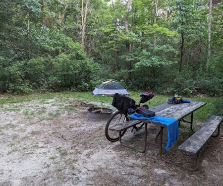 Sparta DNR Campground