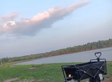 Arpin Cranberry Campground & Cabin