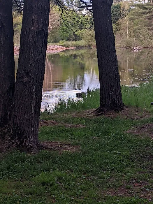 Merlin Lambert County Park Picture 5