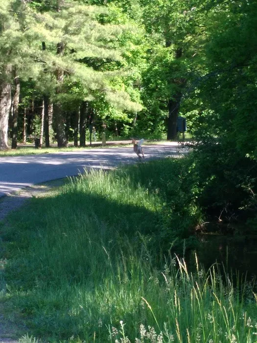 Merlin Lambert County Park Picture 9
