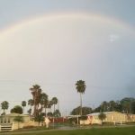 Silver Oaks