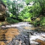 Lost Falls Campground