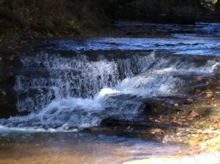 Lost Falls Campground Picture 8