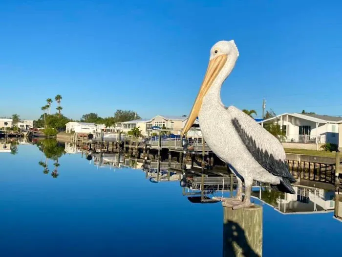 Americana Cove Picture 2