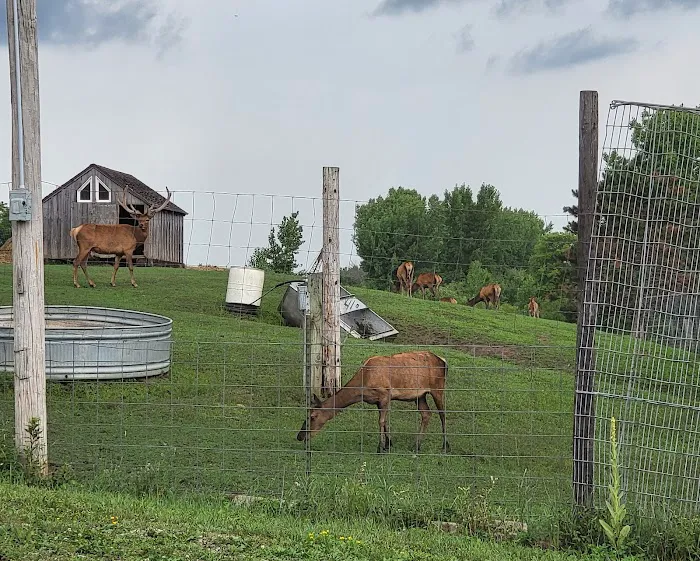 River Ranch Camping Picture 7
