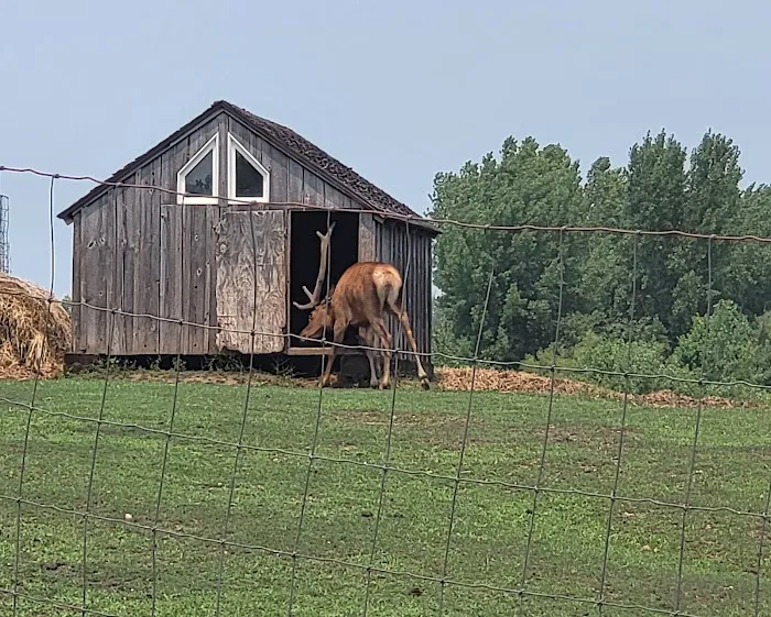 River Ranch Camping Picture 5