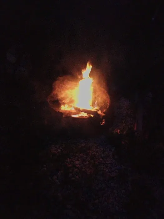 River Ranch Camping Picture 3