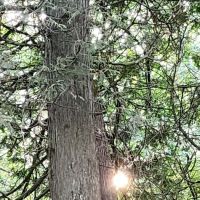 Big Lake Campground ico