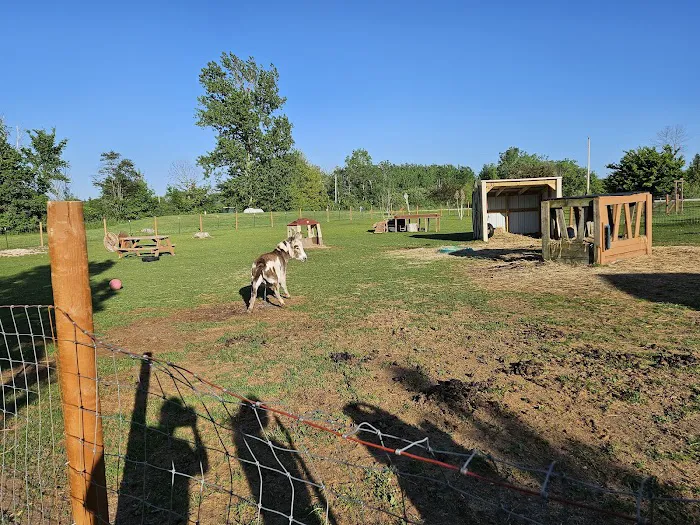 Timber Trail Campground Picture 2