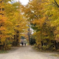 Door County KOA Holiday ico