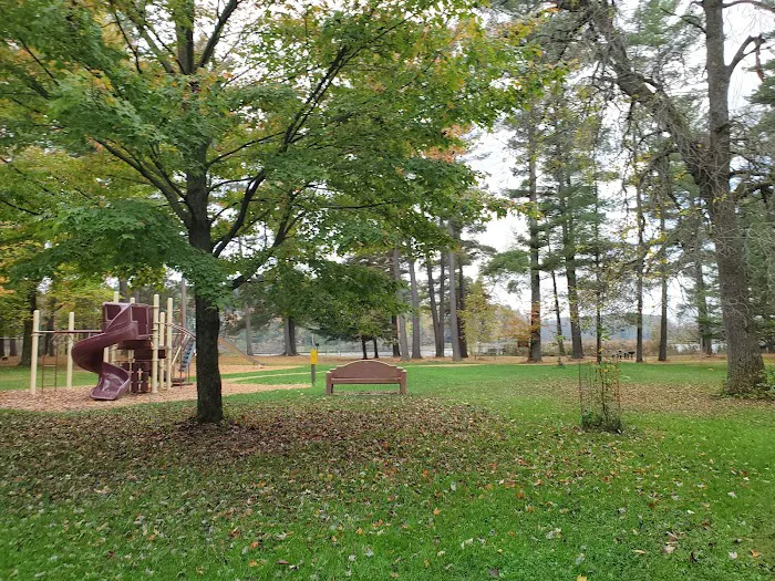 Collins Park Picture 1
