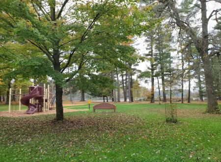Collins Park
