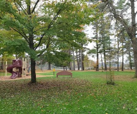 Collins Park