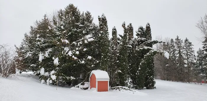 White Clay Lake Lodge Picture 5