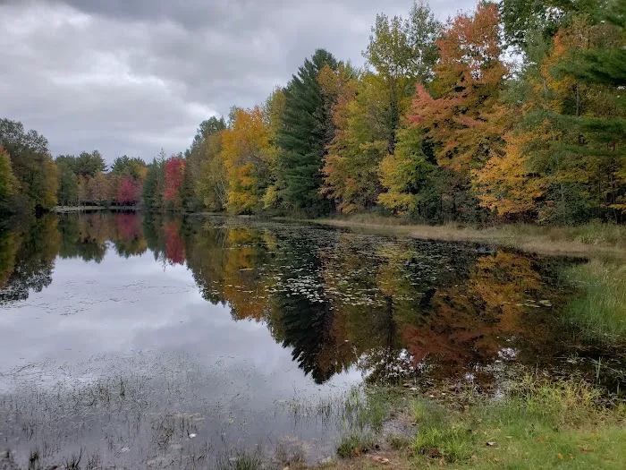 Fawn Lake Campground Picture 1