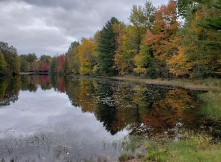 Fawn Lake Campground