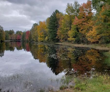 Fawn Lake Campground