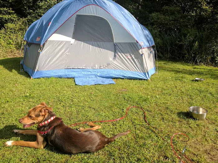 Fawn Lake Campground Picture 10