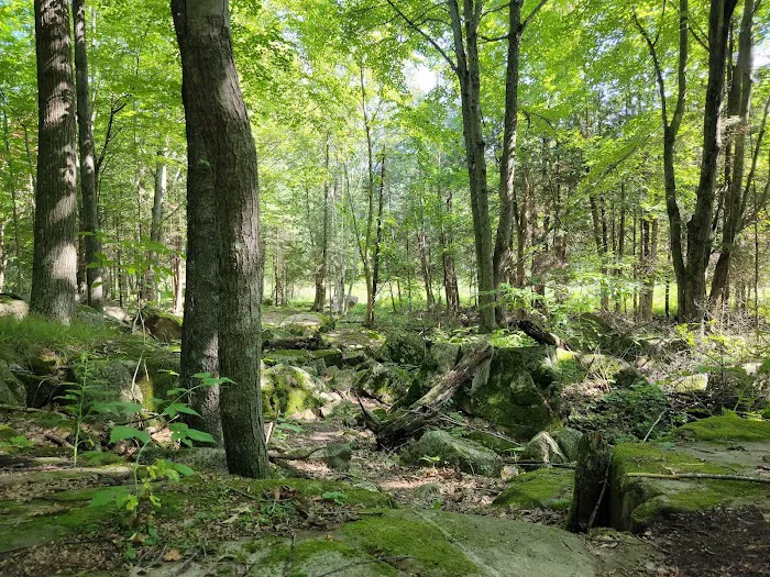 Tigerton OHV Park & Campground Picture 6