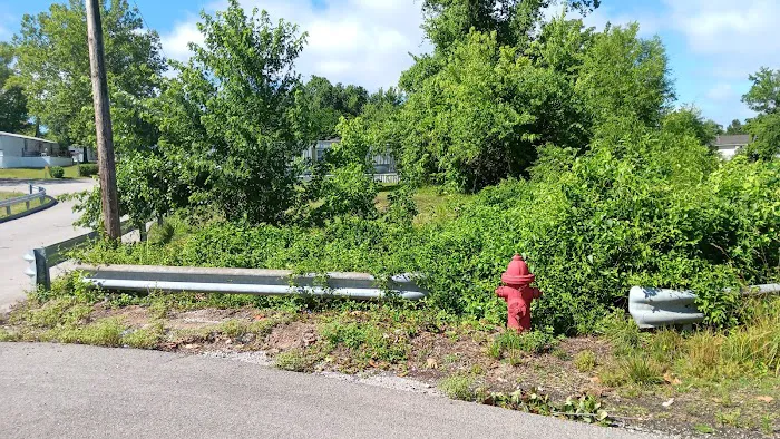 Ozark Mobile Home Park Picture 5