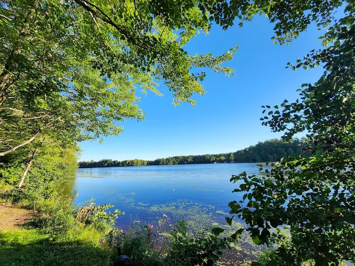 Lake Dubay Park Campground Picture 5