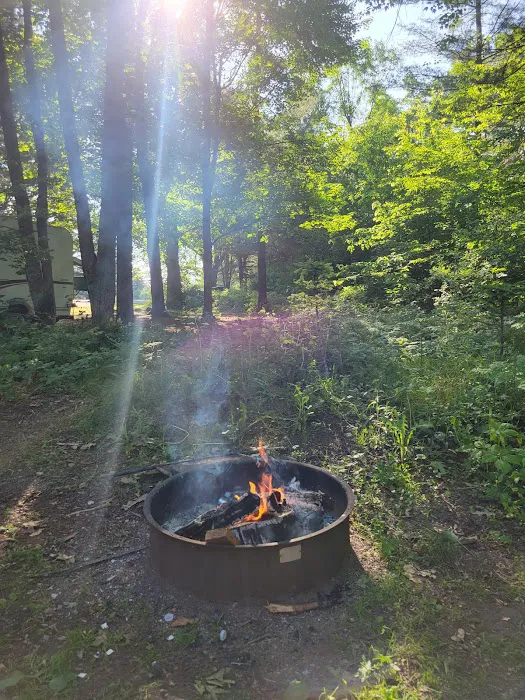 Lake Dubay Park Campground Picture 2