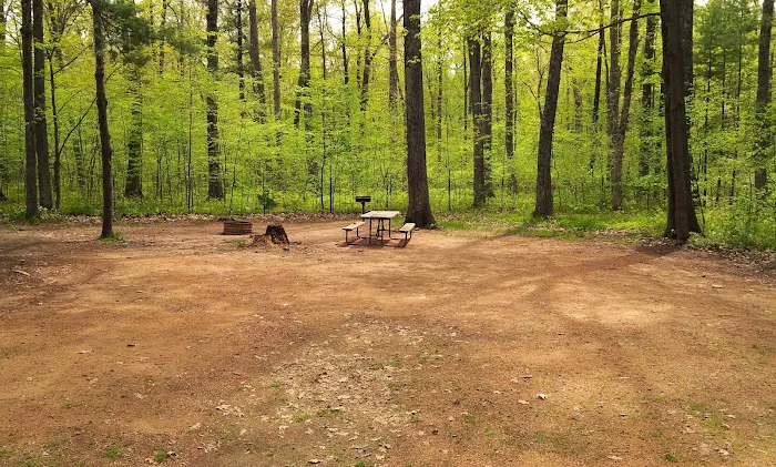 Lake Dubay Park Campground Picture 7
