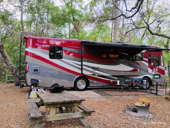 Gunter Hill Campground, Site 26 Picture 4