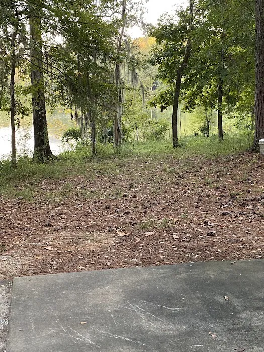 Gunter Hill Campground, Site 26 Picture 9