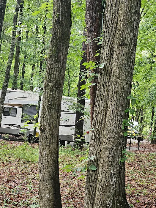 Gunter Hills Campground-Antioch Loop Picture 4