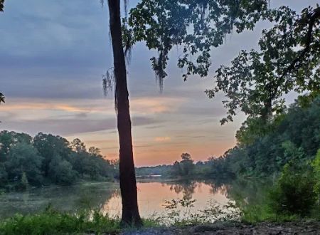 Gunter Hill Campground