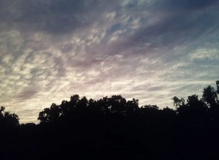 Majestic Hills Mobile Home Park