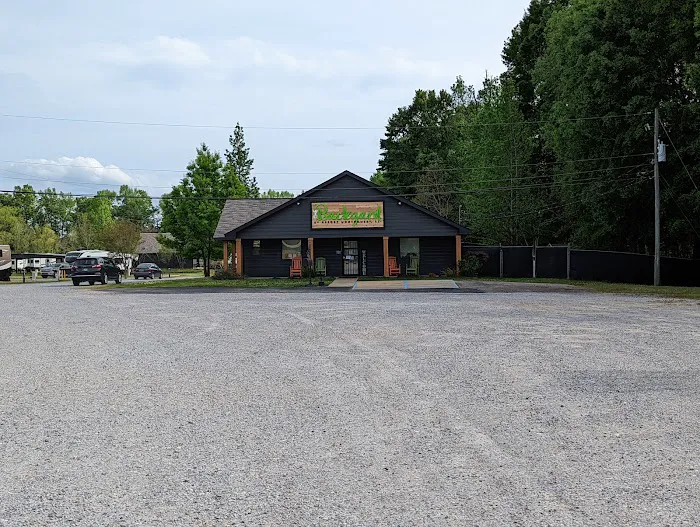 The Backyard RV Resort Picture 4