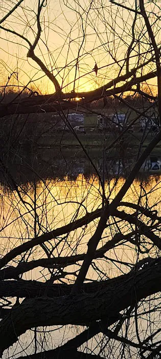 Suncatcher Lake RV Park Picture 3
