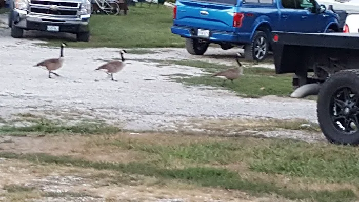 Suncatcher Lake RV Park Picture 8
