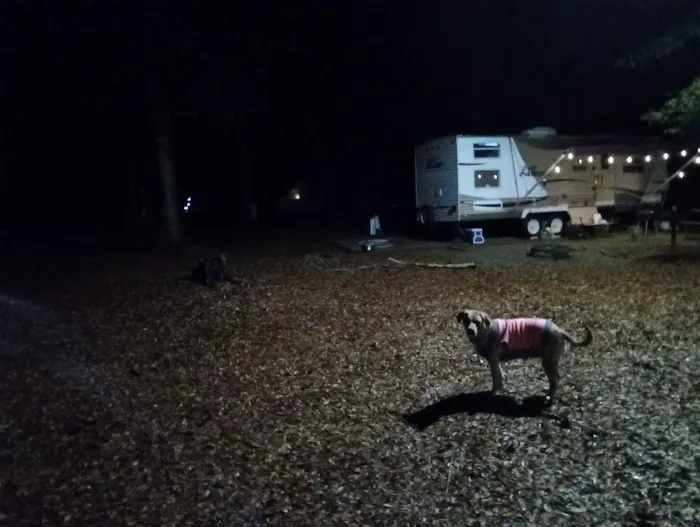 Buck Creek Campground Picture 9