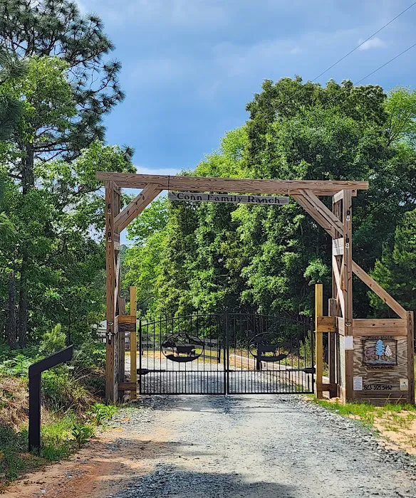 Piney Hills Campground Picture 2
