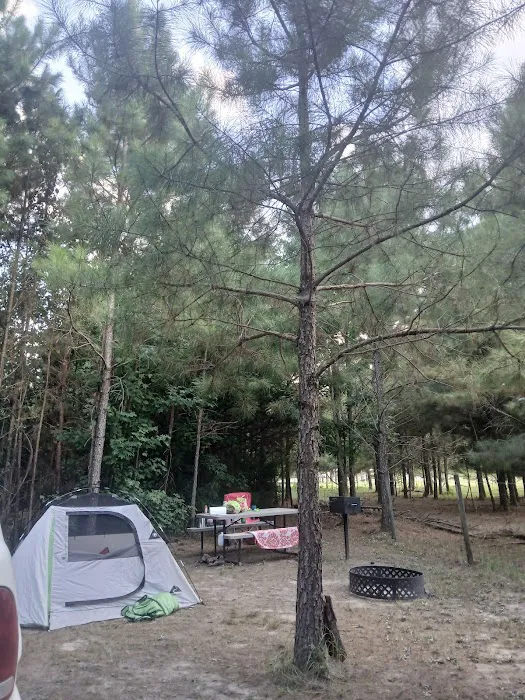 Piney Hills Campground Picture 10