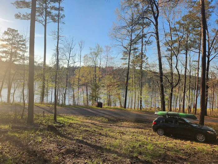 Payne Lake Eastside Campground Picture 1