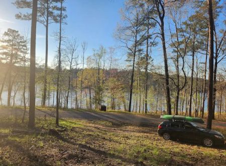 Payne Lake Eastside Campground