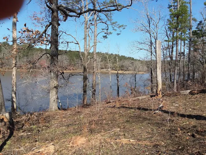 Payne Lake Eastside Campground Picture 4